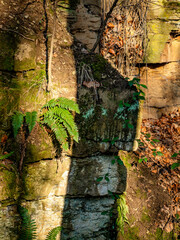 Felswände eines alten Steinbruchs im Wald
