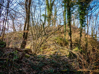 Abraumhalde im Wald