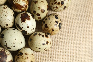 Quail eggs on burlap 