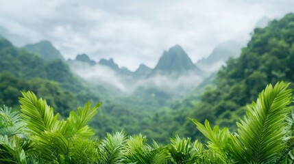 Fototapeta premium Lush green mountain valley, misty foliage, nature scene, peaceful background, environmental photo