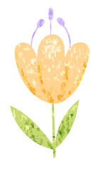 Tulip flower in flat trendy style with grainy texture on transparent background