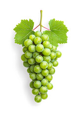 Obraz premium A bunch of fresh green grapes isolated, isolated on white background