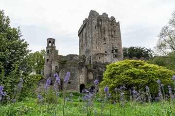 Blarney Castle in Ireland, a medieval castle in Cork where also Blarney Stone can be found. According to legend, kissing the stone endows the kisser with the gift of eloquence
