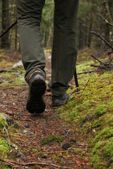 hiking in the woods close-up of boots walking 