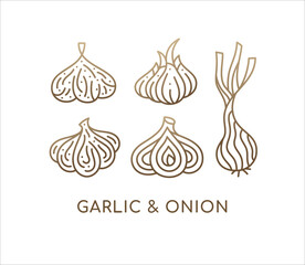 Onion and garlic linear set icons. Logo vegan food. Ripe root. Spices sliced vegetable. Vector contour illustration.