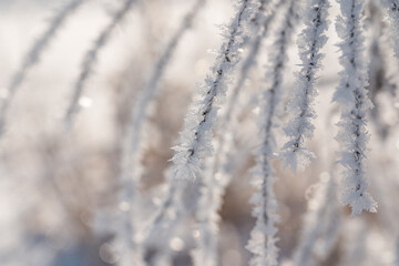 Frozen white snowflakes on a chilly and snowy cold day in Chicago