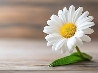 Obraz premium spring mental health check-in