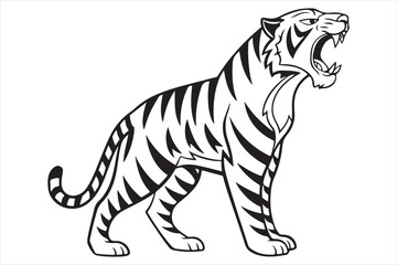 Black and white illustration tiger