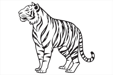 Black and white illustration tiger