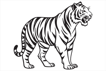Black and white illustration tiger