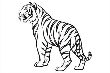 Black and white illustration tiger