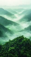 Obraz premium Serene misty valley landscape lush green mountains nature tranquil environment aerial view natural beauty
