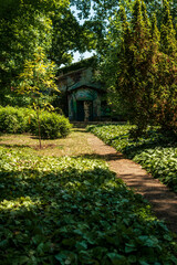 Fototapeta premium a path for walking in the park