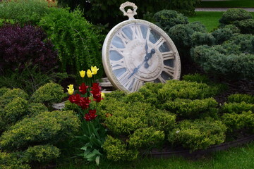 A large decorative pocket watch resting among bushes. Timeless Pocket Watch in Enchanted Garden