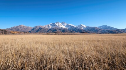 Snowy mountain range autumn field landscape; scenic travel poster