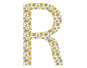 Floral alphabet. Daisy patterned alphabet letters