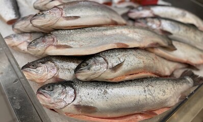 Raw steaks of rainbow trout chilled on shallow ice at the seafood market. An open shelf at the fish...