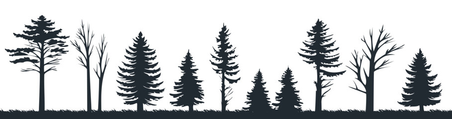 Pine tree silhouettes evergreen forest firs vector image
