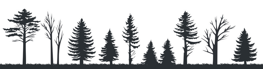 Pine tree silhouettes evergreen forest firs vector image