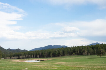 Fototapeta premium Rural Colorado meadow in spring