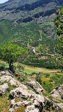 A breathtaking view of Selin village &mdash; a hidden paradise for nature lovers, perfect for spring adventures, peaceful escapes, and unforgettable moments in pure beauty.
📍Selin village, Hawraman Takht 