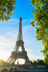 Fototapeta premium eiffel tour and from Trocadero, Paris