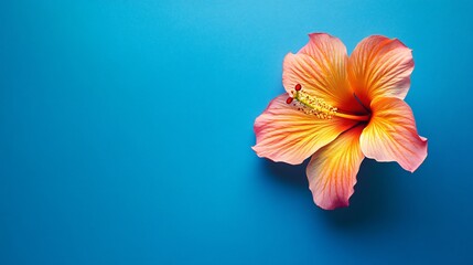 Colorful Tropical Flower Arrangement on Bright Background