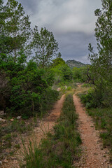 Fototapeta premium Wanderweg im Naturpark Serra de Irta nahe Alcossebre, Provinz Castellón, Autonome Gemeinschaft Valencia, Spanien