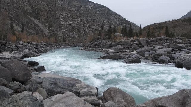Fast moving stream of seething mountain river runs along stone banks. Amazing highland landscape with autumn bare grey forest at sunrise. Ilgumen threshold, Katun river, Altai