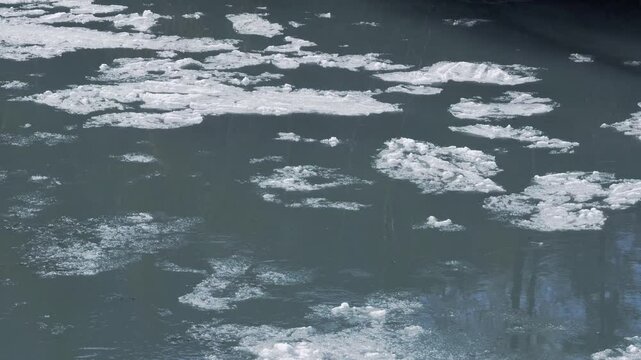 Drifting ice on broad river. Melting blocks quickly float on the water on sunny day