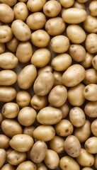 png background falling olated potatoes white fresh potato food vegetable isolated potato raw white healthy agriculture fresh vegetarian organic brown root starch heap carbohydrate ingredient diet
