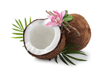 Coconuts, green leaves, vanilla pods and flower isolated on white