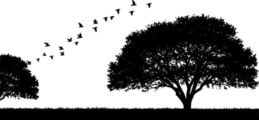 tree silhouette with birds flying
