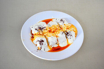 Meat, chicken shawarma kebab with yogurt and fried butter sauce .Tantuni Special. Yogurtlu tantuni.