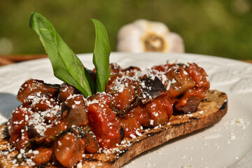 Delicious homemade bruschetta with fresh tomatoes, eggplant, basil, cheese (parmesan) and toasted bread. Traditional italian appetizer. Picnic concept. 