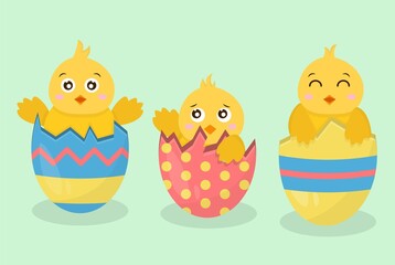 Set cartoon little chickens in cracked egg isolated on green background