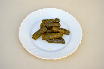 Delicious dolma (sarma) stuffed grape leaves rice, white yogurt sauce. Lebanese dolma sarma on plate. Lebanon turkish greek middle eastern cuisine. (Turkish name; yogurtlu yaprak sarma)