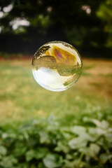 Soap Bubble Floating Reflecting The Landscape