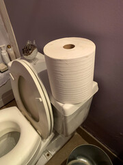 Humorous Photo Showing Large “Toilet Paper” Roll On The Back Of A Toilet