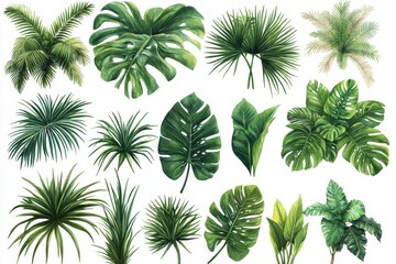 A collection of various tropical and leafy plant illustrations.