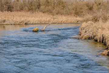 Winterwanderung in den Isarauen im Mündungsgebiet