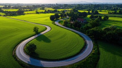 Winding road through green fields, aerial view