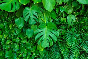 Eco-friendly home with vertical green garden