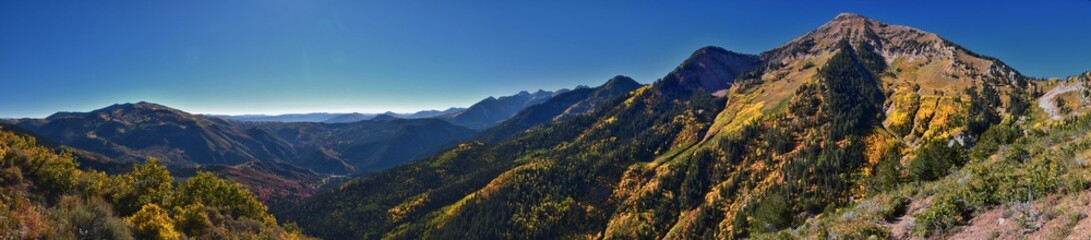 Box Elder Peak view looking up from hiking trail, American Fork Canyon. Wasatch Range Rocky...