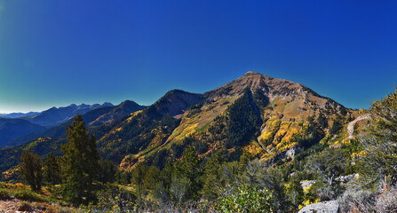 Box Elder Peak view looking up from hiking trail, American Fork Canyon. Wasatch Range Rocky...