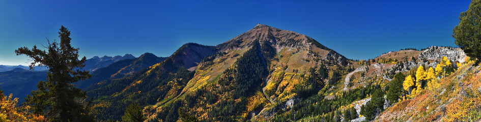 Box Elder Peak view looking up from hiking trail, American Fork Canyon. Wasatch Range Rocky...