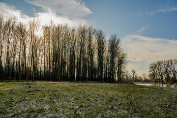 Winterwanderung in den Isarauen im Mündungsgebiet