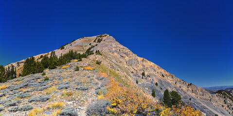 Box Elder Peak view looking up from hiking trail, American Fork Canyon. Wasatch Range Rocky...