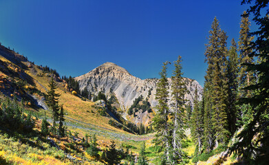 Box Elder Peak view looking up from hiking trail, American Fork Canyon. Wasatch Range Rocky...