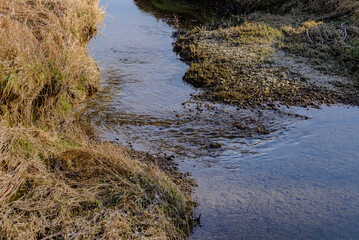 Winterwanderung in den Isarauen im Mündungsgebiet